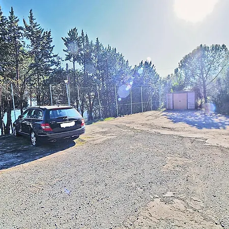 Sweet View Blue Of Patty