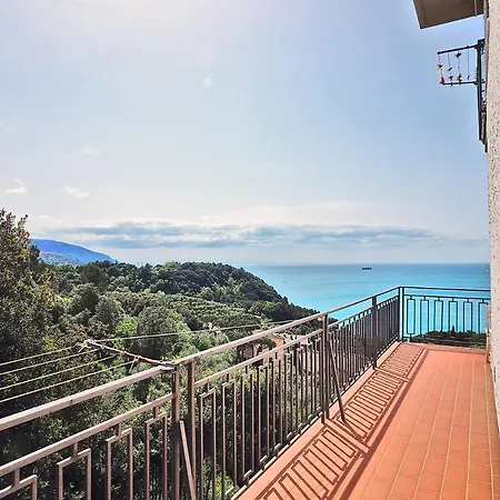 Sweet View Blue Of Patty *