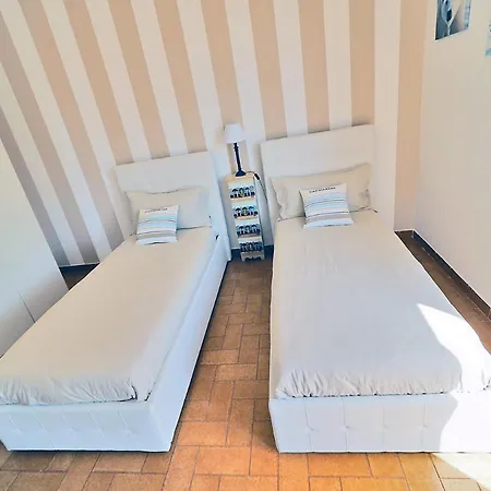 Sweet View Blue Of Patty *